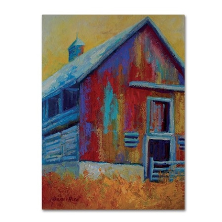 Marion Rose 'Harrys Barn' Canvas Art,35x47